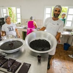 Açaí juçara vira oportunidade de renda para comunidades caiçaras no Litoral