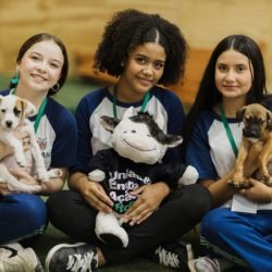 Com campanhas sobre proteção animal, alunos da rede estadual impactam a comunidade