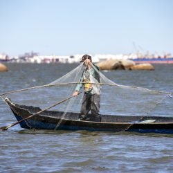 Parceria entre Portos do Paraná e Olha o Peixe vai impulsionar a pesca artesanal no Litoral