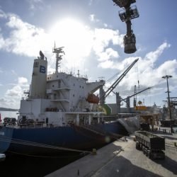 Portos registram salto superior a 300% na movimentação de cevada e malte no Paraná