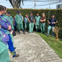 Adapar promove treinamento para controle de zoonoses em animais de produção