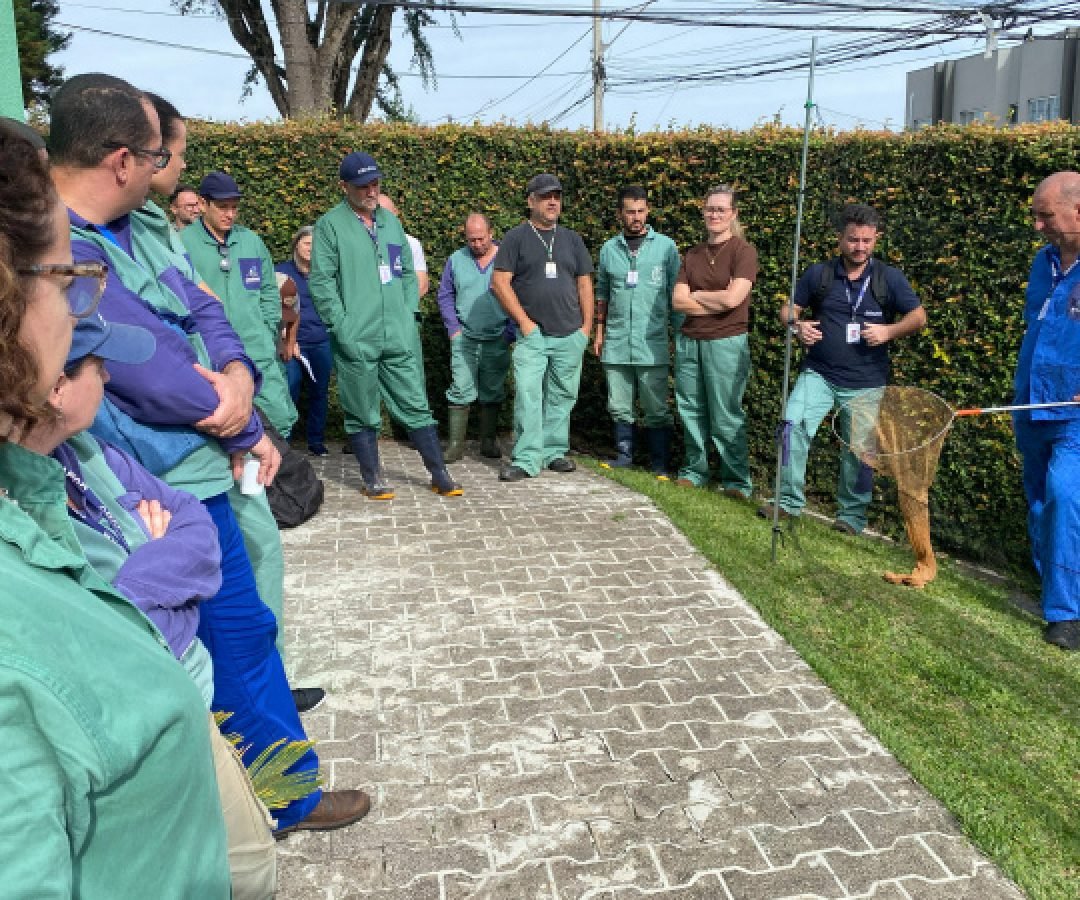 Adapar promove treinamento para controle de zoonoses em animais de produção