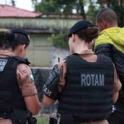 Feminicídios caem 20% no Paraná em 2025, aponta Sistema Nacional de Segurança Pública