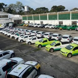 Período para lances em leilão de 92 veículos oficiais do Estado está aberto