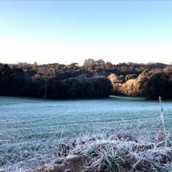Extremos nas temperaturas e tornados: 2025 registrou dados meteorológicos históricos no Paraná
