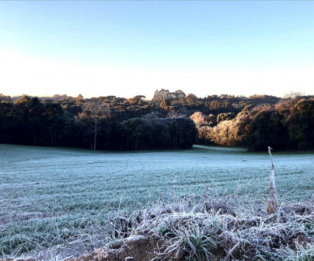 Extremos nas temperaturas e tornados: 2025 registrou dados meteorológicos históricos no Paraná