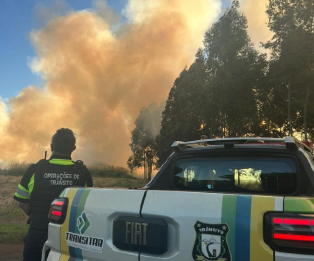 Incêndio atinge grande área de vegetação no bairro 14 de Novembro em Cascavel
