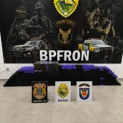 Integração entre forças de segurança apreende 256 kg de maconha na BR-277 em Santa Tereza do Oeste
