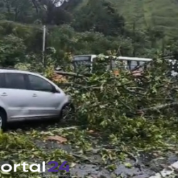Interdição na BR por queda de árvore entre Rio e São Paulo (Via Dutra)