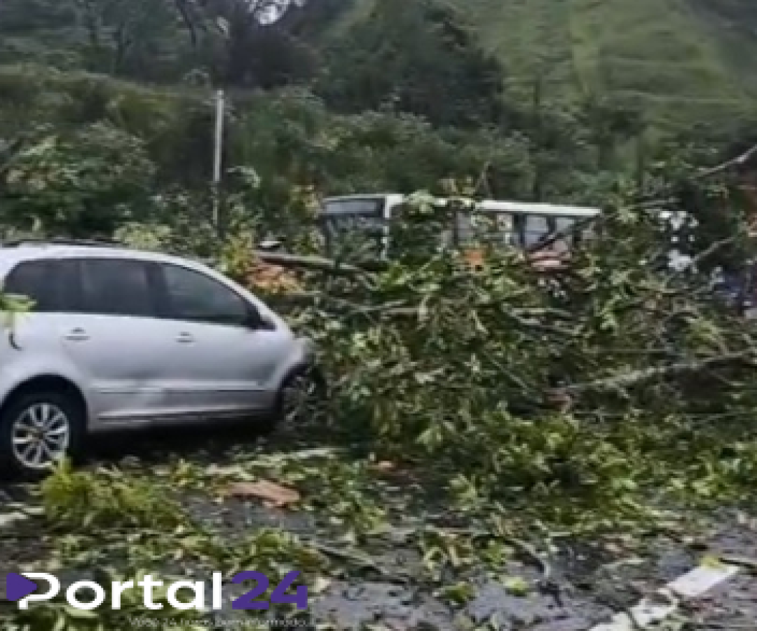 Interdição na BR por queda de árvore entre Rio e São Paulo (Via Dutra)