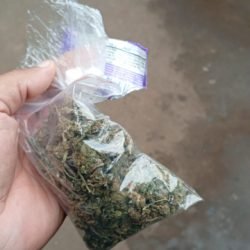 Jovem é preso com drogas no Terminal Leste durante patrulhamento da Guarda Municipal
