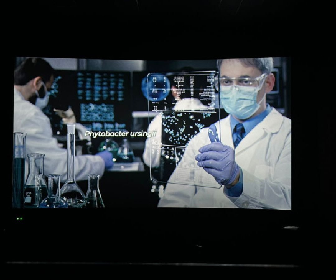 “A Saga do Phytobacter”: Lacen divulga documentário sobre descoberta de bactéria rara