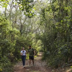 Aventura na mata: cinco trilhas para explorar nas Unidades de Conservação do Paraná