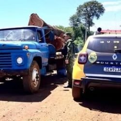Polícia Ambiental apreende 92 m³ de madeira e embarga serraria em Mercedes