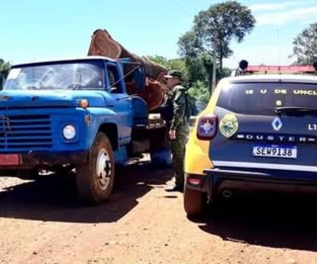 Polícia Ambiental apreende 92 m³ de madeira e embarga serraria em Mercedes