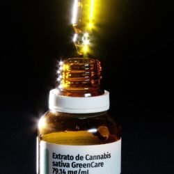 Maioria dos pacientes que importa remédios canábicos faz musculação
