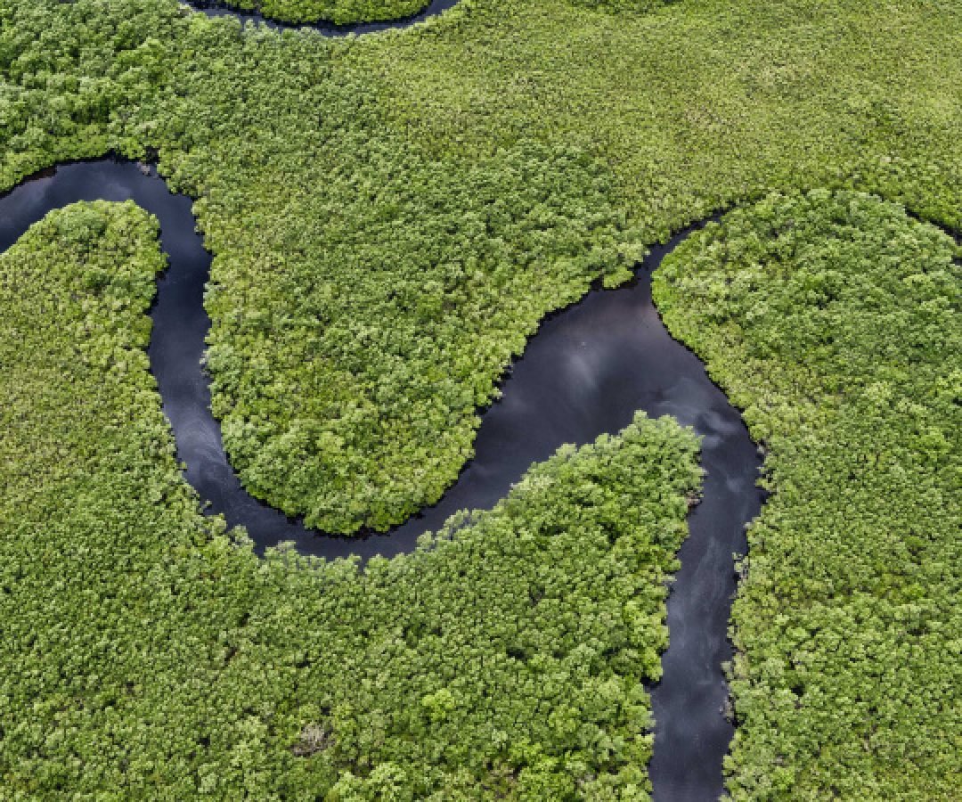 Com tecnologia e fiscalização, Paraná reduz desmatamento de maneira consistente