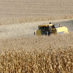Paraná desponta como novo polo de etanol de milho com salto de 71% na produção 