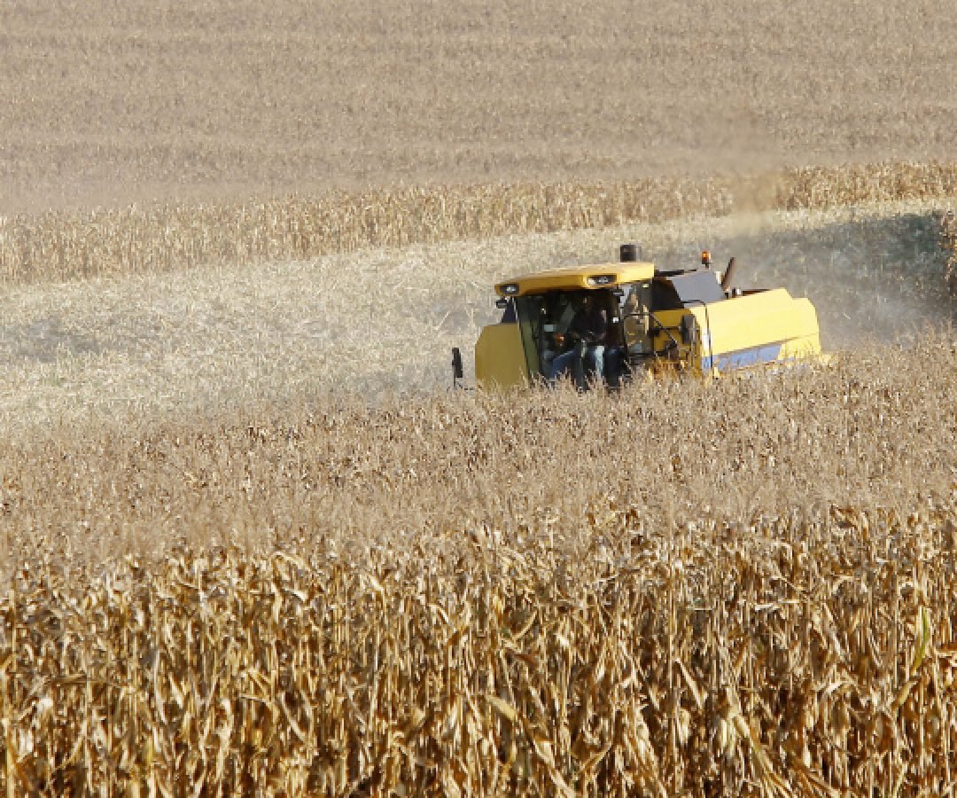 Paraná desponta como novo polo de etanol de milho com salto de 71% na produção 