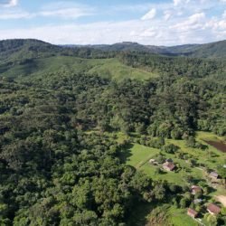 Paraná vai ganhar uma Londrina de área protegida com novas UCs em estudo pelo IAT