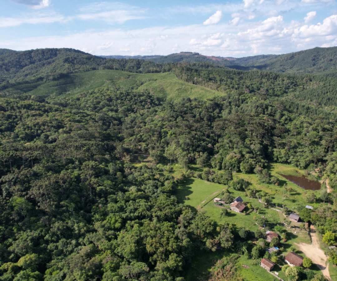 Paraná vai ganhar uma Londrina de área protegida com novas UCs em estudo pelo IAT