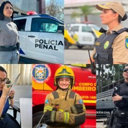 Das ruas à gestão: mulheres assumem protagonismo nas forças de segurança do Paraná