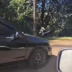 Motocicleta é encontrada abandonada no Cascavel Velho