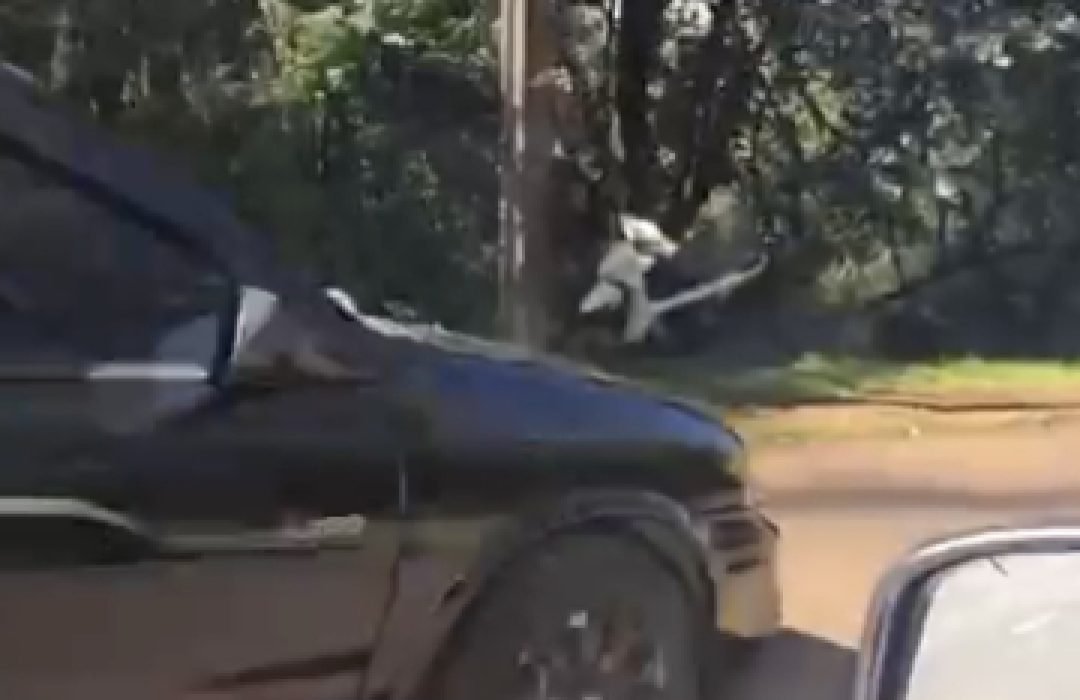 Motocicleta é encontrada abandonada no Cascavel Velho