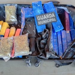 Mulher é presa com droga na rodoviária de Cascavel