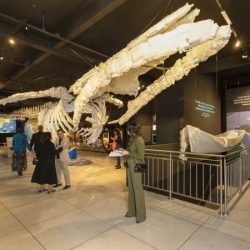 Museu da Sanepar abrirá também aos domingos a partir do dia 26