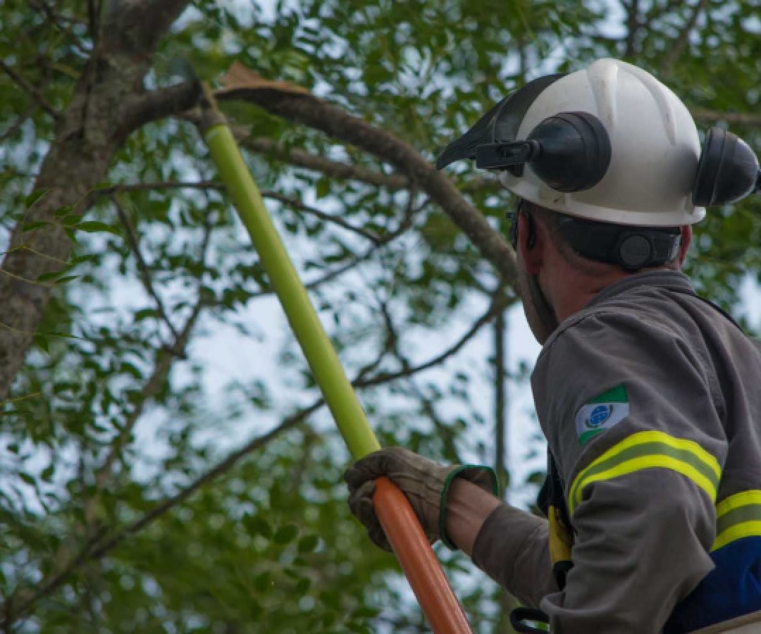 Em Primeiro de Maio, Copel organiza poda de 1,7 mil árvores para prevenir desligamentos