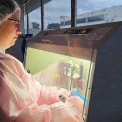 Sequenciamento genético no Paraná abre caminho para medicina de precisão no SUS