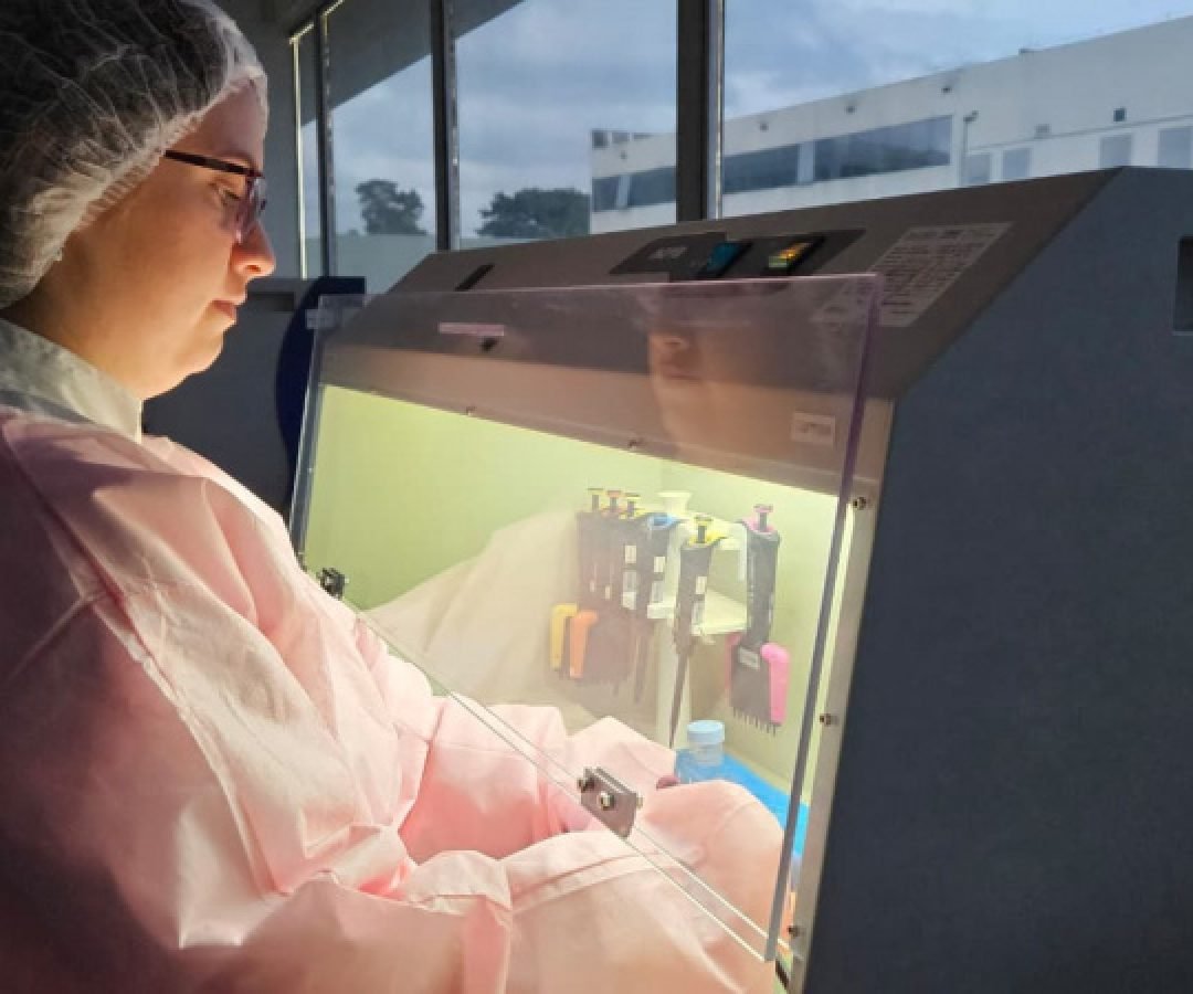 Sequenciamento genético no Paraná abre caminho para medicina de precisão no SUS