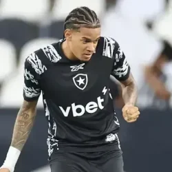 newton-botafogo-e1774653686717.webp.webp