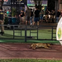 disparo de arma de fogo em bar envolve policial militar na Avenida Assunção