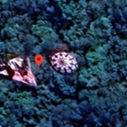 Objeto misterioso no Google Maps viraliza no Paraná e até Polícia Militar entra na brincadeira