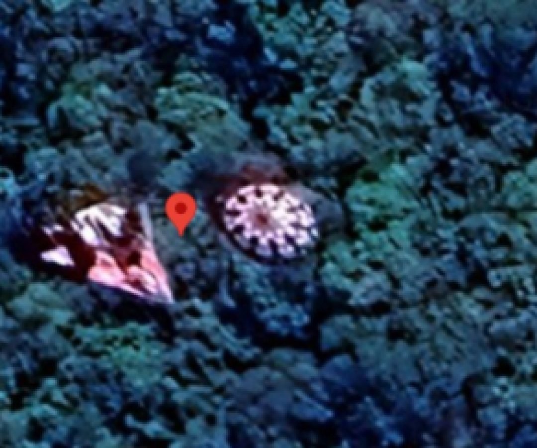 Objeto misterioso no Google Maps viraliza no Paraná e até Polícia Militar entra na brincadeira