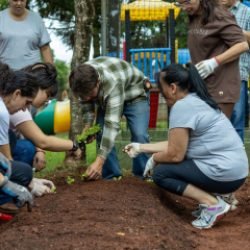 Oficinas de hortas dos Núcleos de Cooperação Socioambiental valorizam trabalho coletivo e criam espaços de convivência