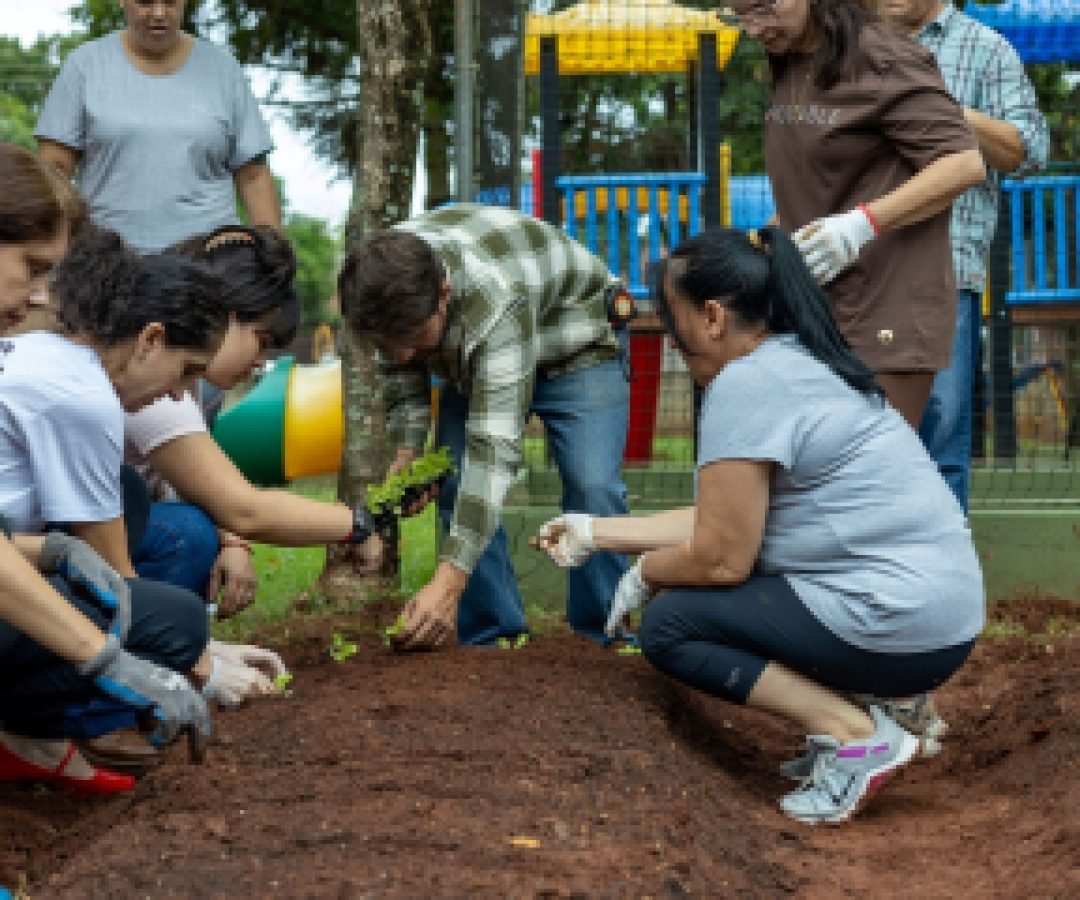 Oficinas de hortas dos Núcleos de Cooperação Socioambiental valorizam trabalho coletivo e criam espaços de convivência