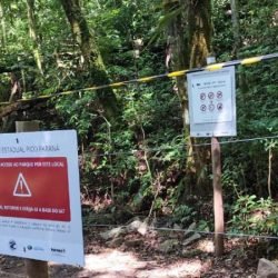 IAT e Polícia Militar multam 15 pessoas por acesso irregular ao Pico Paraná em um dia