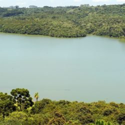 CBH Alto Ivaí promove encontro em Lidianópolis para motivar a educação ambiental