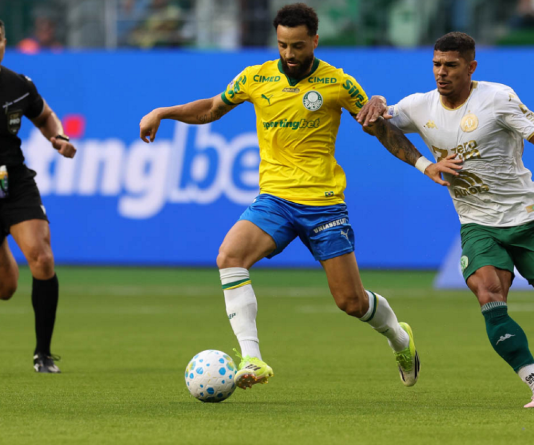 palmeiras-chapecoense.png