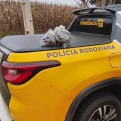 Paraguaio é preso com mais de um quilo de capulho em ônibus abordado na PR-585