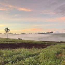 Paraná entra em alerta vermelho para temporais, aponta Inmet