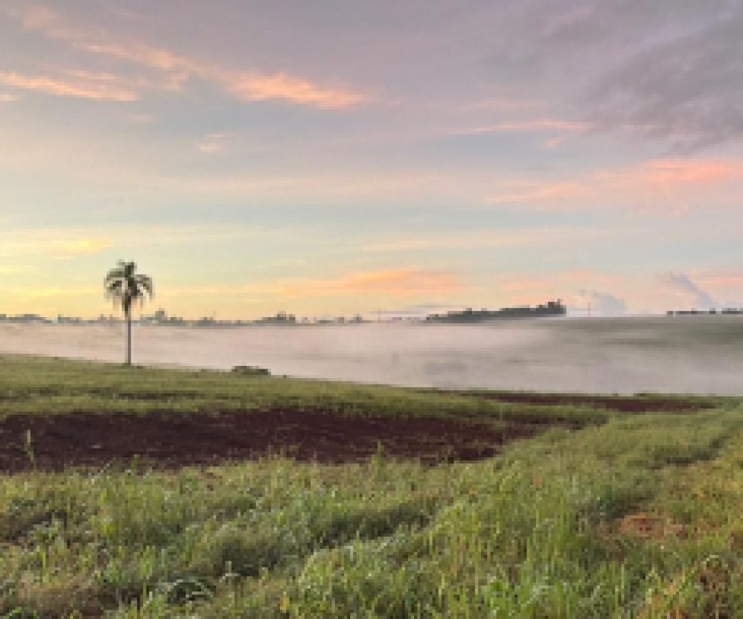 Paraná entra em alerta vermelho para temporais, aponta Inmet