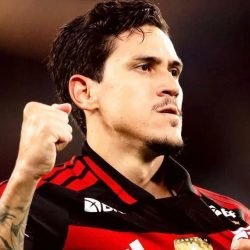 pedro-flamengo-e1770511923519.jpeg