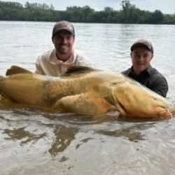 Pescador de Maringá captura jaú recorde no Rio Ivaí e entra para Hall da Fama da BGFA