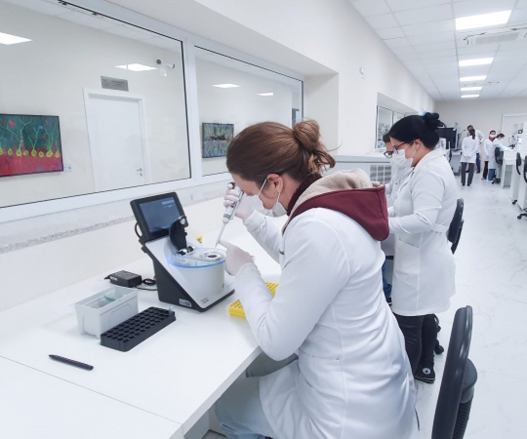 Programas de pós-graduação com nota máxima crescem quase 80% no Paraná