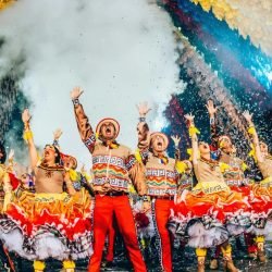 pexels-emanuel-tadeu-94972156-9211779.jpg