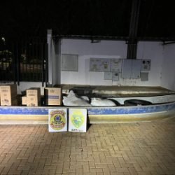 PF e BPFRON apreendem embarcação carregada com cigarros e agrotóxicos no Lago de Itaipu